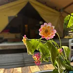 Campo Portakal Eco Glamping خيمة فخمة *