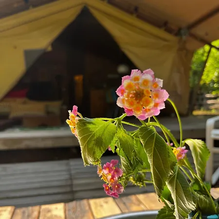 Campo Portakal Eco Glamping Campo de lujo *