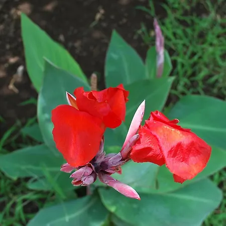 Campo Portakal Eco Glamping