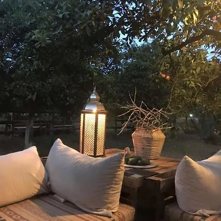 Роскошный шатер Campo Portakal Eco Glamping *