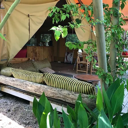 Роскошный шатер Campo Portakal Eco Glamping