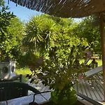 Campo Portakal Eco Glamping Çıralı