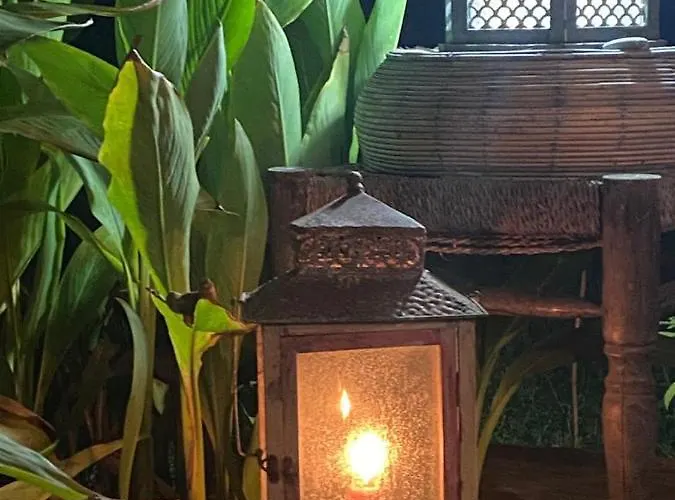 Campo Portakal Eco Glamping Campo de lujo Çıralı