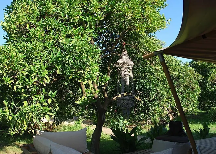 Campo de lujo Campo Portakal Eco Glamping Çıralı