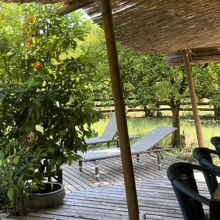 豪华帐篷 Campo Portakal Eco Glamping *