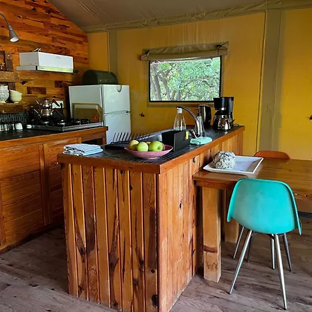 Campo Portakal Eco Glamping 豪华帐篷 Çıralı