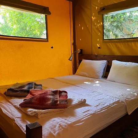 豪华帐篷 Campo Portakal Eco Glamping *