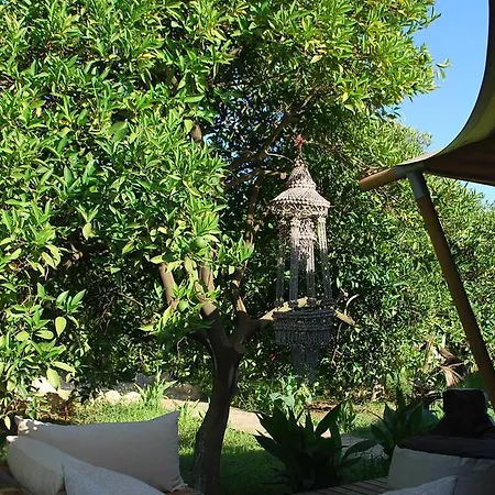 豪华帐篷 Campo Portakal Eco Glamping Çıralı